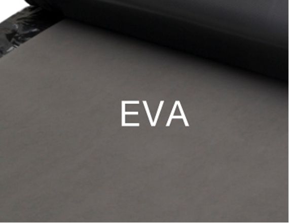 EVA